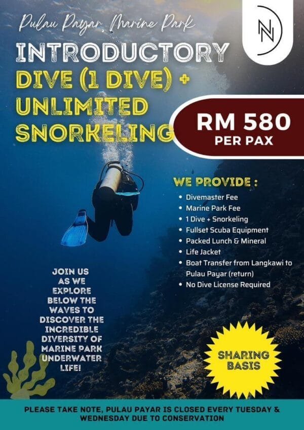 pulau payar diving with snorkeling