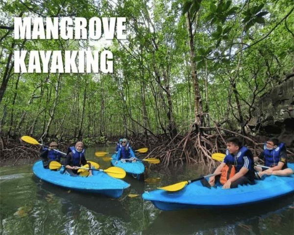 mangrove-kayak-langkawi