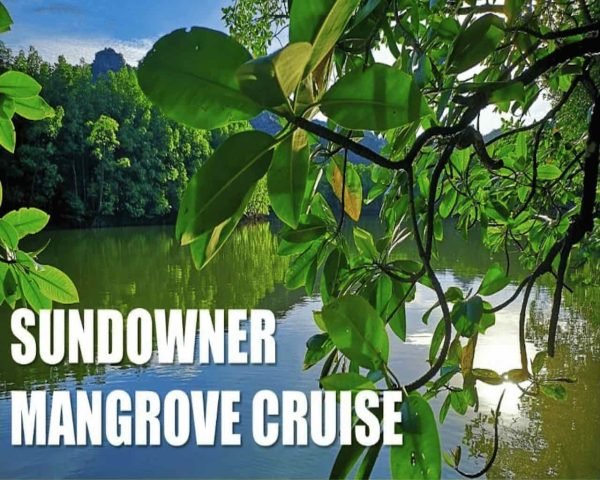 sundowner-mangrove-tour